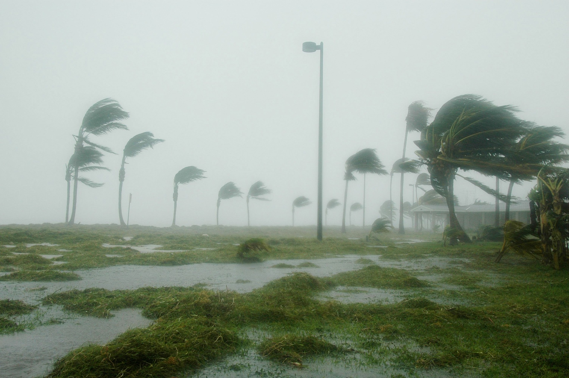 Cape Coral Hurricane