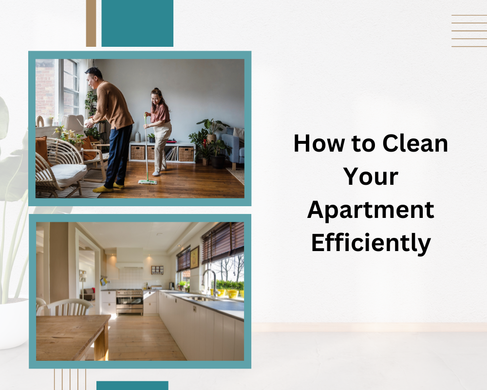 How to Clean Your Apartment Efficiently