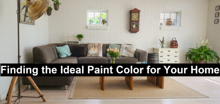 Ideal-Paint-Color