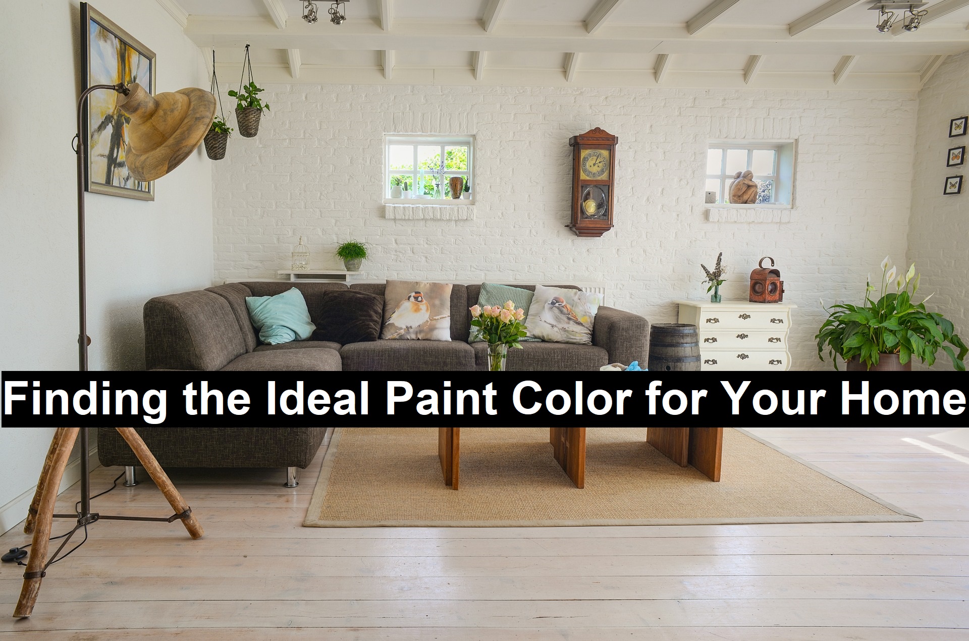 Ideal-Paint-Color