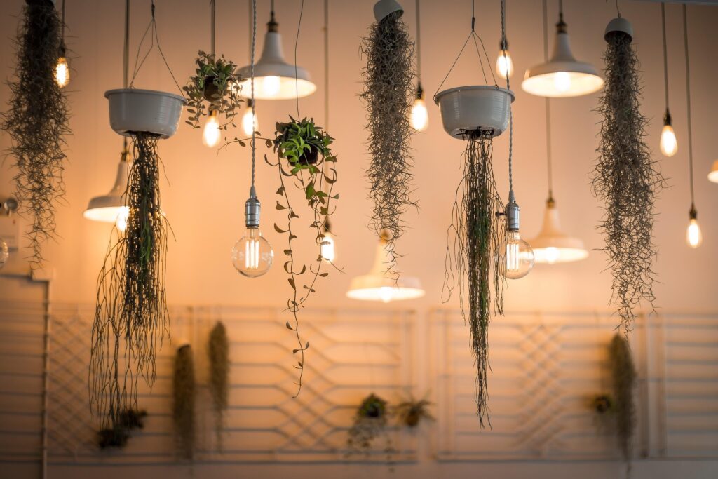 Lighting Project